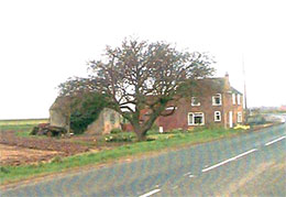 Swineshead History Lincolnshire Places Photo 6