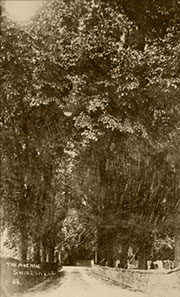 Swineshead History Lincolnshire Places Photo 6