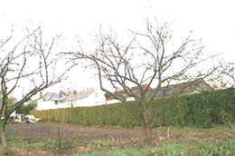 Swineshead History Lincolnshire Places Photo 8